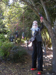 Oscar the Pirate 026